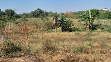Raw vacant countryside plot for development with bushes and small trees in Panama