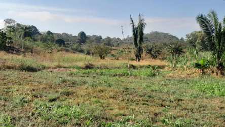 Open undeveloped land with sparse bushes and countryside background Santiago Panama