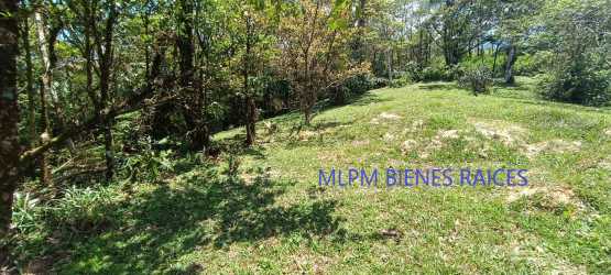 Forested residential lot with lush vegetation and woodland slopes in Altos del María La Rioca Panama