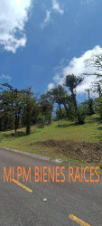 Sloped plot with greenery and road access in Altos del María La Rioca Panama