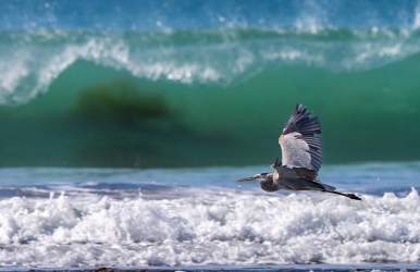 Concrete pathway leading to sandy beach by lot for sale in Coronado Panama