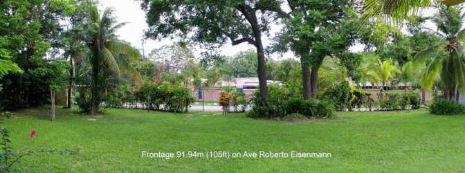 Yellow-orange fruit and green trees on large Coronado Panama lot