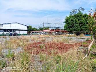 Vacant lot with natural grass, gravel, bordered by trees and utility poles near central David Panama