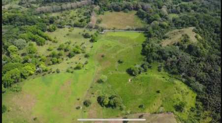 200 Hectares Flat Farmland Near Caribbean for Sale