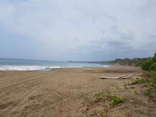 Land Lot for Sale in Tonosí - 0 bedrooms