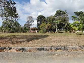 Large open lot with scattered trees and rustic shed PH La Colonia Chame Panama