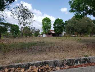 Spacious corner lot flat terrain paved access mature tree PH La Colonia Chame Panama