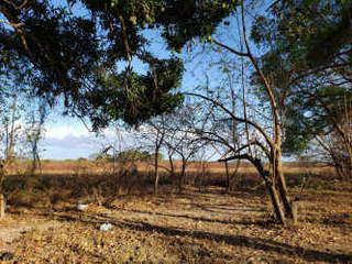 Land for Sale in Antón - 0 bedrooms