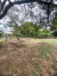 Partially wooded 4000m2 land plot with sky in Coclé Panama