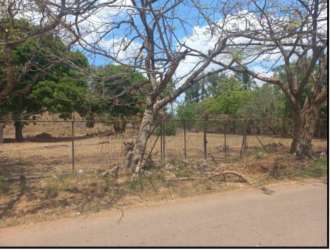 Fenced bare land with scattered trees under blue sky Panama