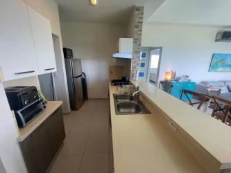 Modern open kitchen with breakfast bar, stainless appliances Quarry Heights