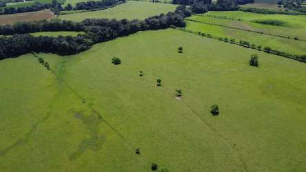 128 Hectares Farm Land Divala Volcan Chiriqui