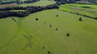 Agricultural Land for Sale in Renacimiento - 0 bedrooms