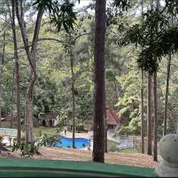 Natural forested pool area with gazebo and outdoor seating at countryside estate in Panama
