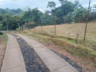 Vacant fenced grassy plot with paved road access and trees in Arraiján Panama