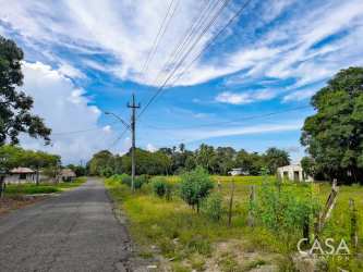 Roadside access to open countryside lot with utility poles near Playa Barqueta Panama