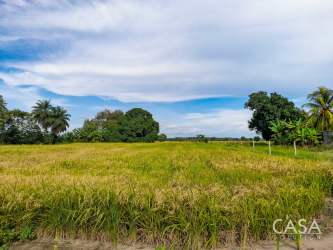Large open rural Panama countryside land plot with grass under blue sky