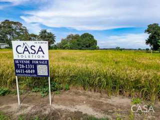 Land for Sale in Alanje - 0 bedrooms