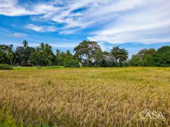 For sale sign on open land plot with countryside vegetation near Playa Barqueta Chiriquí Panama