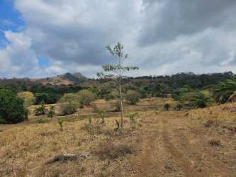 Open pasture area on titled 4 hectare farmland with distant mountain views in Panama