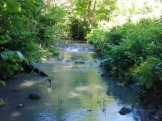 Land / Farm for Sale in Cirí Grande / Cermeño - 0 bedrooms