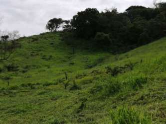 A natural water stream crossing native forest area of Cermeño titled land Panama