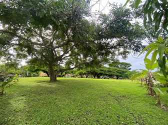 Vacant spacious land with mature shade trees near private beach in Panama