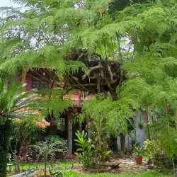 Covered porch with rustic columns and lush tropical garden mountain views in Bique Arraiján Panama