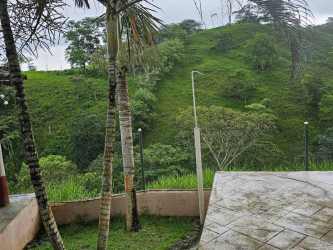 Hilly farmland with mature trees ideal for agriculture and cattle in Capira Panama
