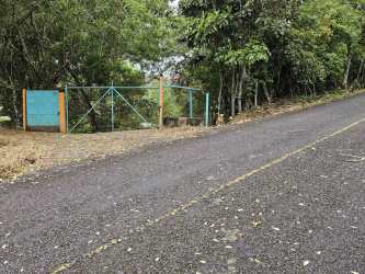 Rustic secure entrance gate with tropical foliage on a countryside land parcel in Capira
