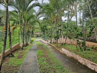 Shaded patio with hammocks and garden views at Capira Panama country estate