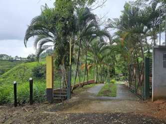 Private swimming pool overlooking lush hills at Capira Panama estate