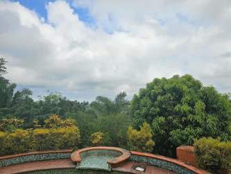 Spacious tropical gardens with mature fruit trees and open green areas Cerro Cama Panama