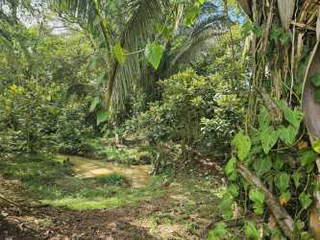 Country House with Land for Sale in Cerro Cama - 2 bedrooms