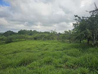 Covered rustic patio with pizza oven and grill in country villa La Chorrera Panama