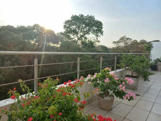 Modern semi-open kitchen with stainless appliances in PH Casa Bonita Veracruz Panama