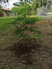 Land / Lot for Sale in El Espino - 0 bedrooms