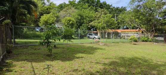 Flat titled land 1000 m² surrounded by mature trees with fencing for sale San Carlos Panama
