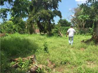 Person walking on large grassy fenced plot with trees and clear blue sky in El Coco La Chorrera Panama