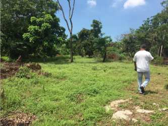 Large grassy and partially cleared plot of land with scattered trees in El Coco La Chorrera Panama