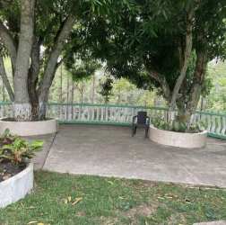 Outdoor patio area with mature trees and planters on country estate Capira Panama