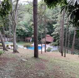 Large outdoor swimming pool with ranch palapa and trees on estate in Capira Panama