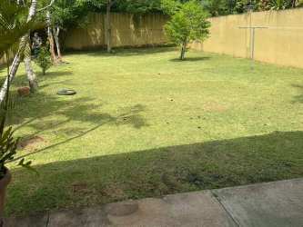 Fenced backyard grassy area with concrete edge in Paseo Miramar house La Chorrera