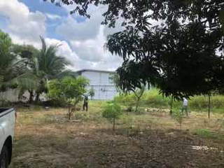 Land for Sale in Chame - 0 bedrooms