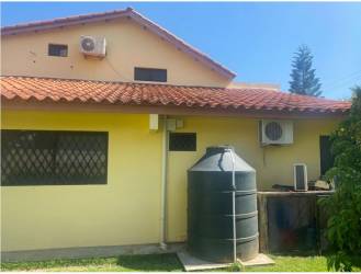 Beautiful green garden with palm trees and fruit plants at Coronado Panama beach property