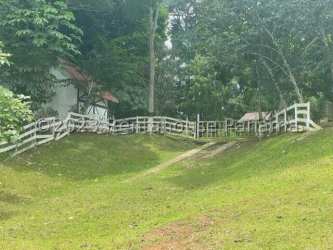 Large open farming land with mature shade trees at eco farm in Obaldía Capira Panama