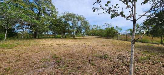 Large open beachside lot with trees and native plants in Santa Catalina Panama