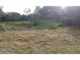 17,300 m² Prime Commercial Land on Pan-American Burunga Arraiján