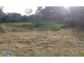 Land for Sale in Burunga - 0 bedrooms