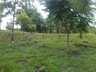 Small natural pond surrounded by lush vegetation and hills at Los Llanitos farms San Carlos Panama